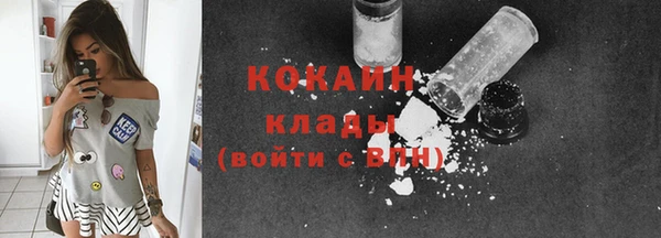 сатива Беломорск