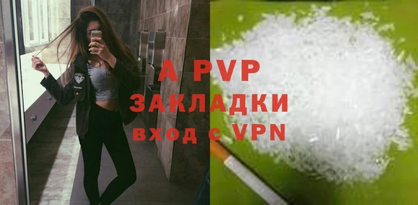 сатива Беломорск