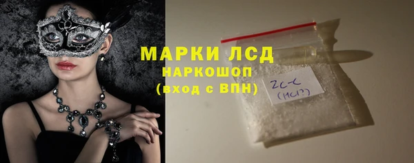 сатива Беломорск