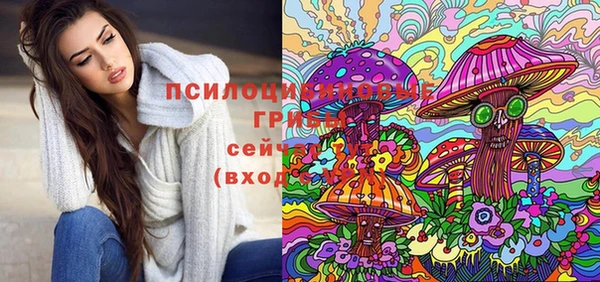 сатива Беломорск
