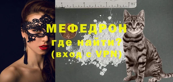 стафф Богданович