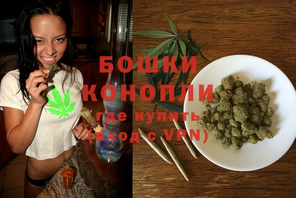 mix Богородицк