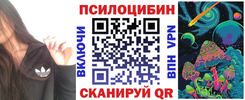 Псилоцибиновые грибы Cubensis Бобров